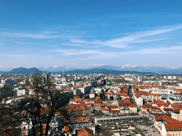 Screen Shot 2019-04-01 at 1.50.50 PM