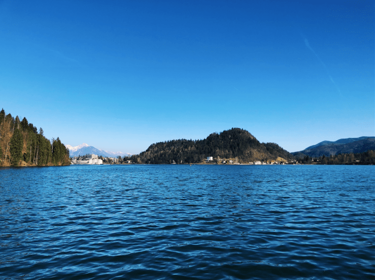 Screen Shot 2019-04-01 at 1.53.30 PM